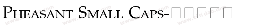 Pheasant Small Caps字体转换